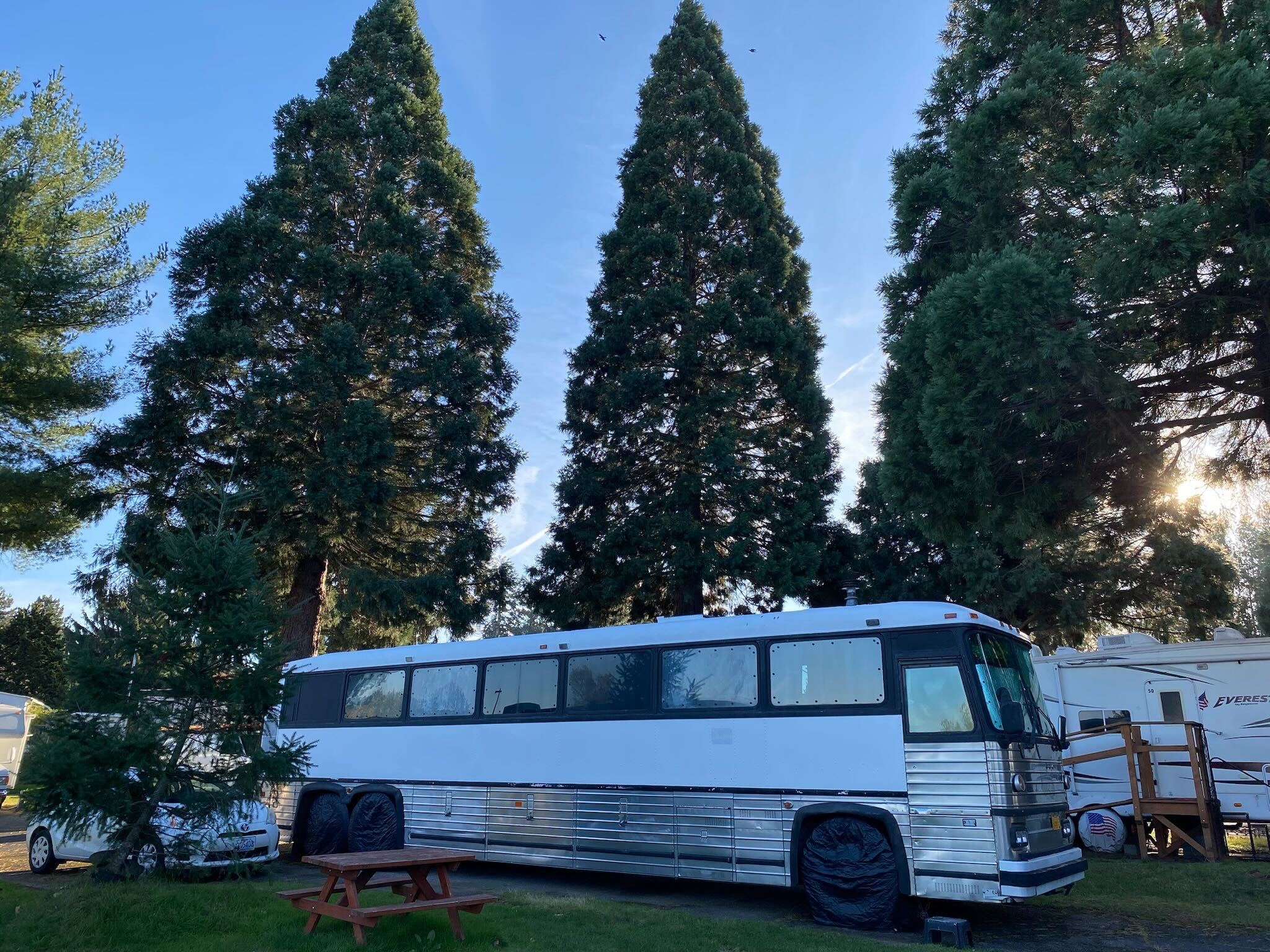 Greyhound Bus Conversion - dl32bei
