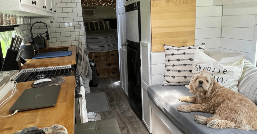 Living With a Dog In a Skoolie